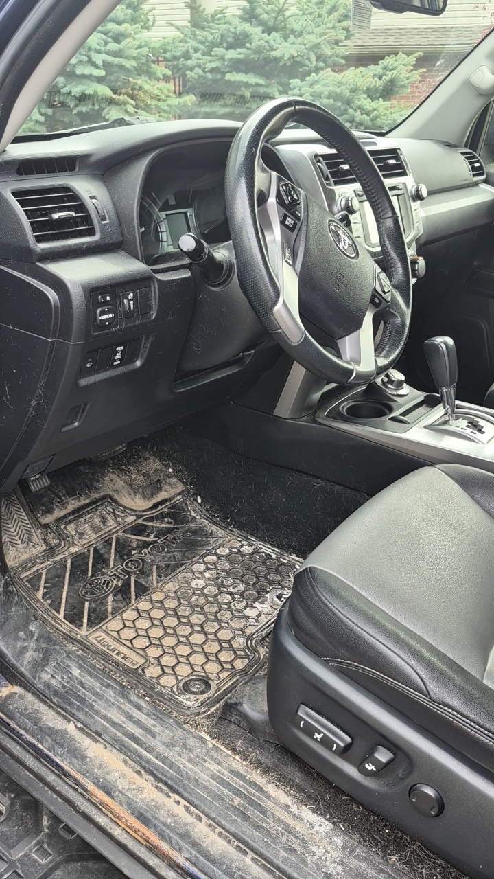 Stained car carpet before shampoo — dark embedded dirt and pet hair in dim interior lighting
